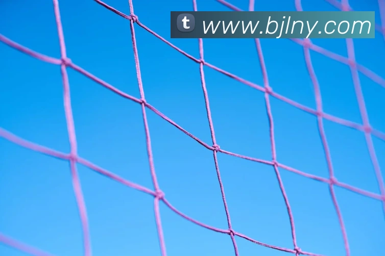 百家乐网站品牌故事